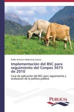 Implementacion del BSC para seguimiento del Conpes 3675 de 2010