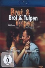 Brot und Tulpen, 1 Blu-ray