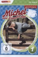 Michel TV-Serie. Tl.1, 1 DVD