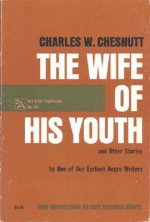 Wife of His Youth and Other Stories