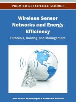 Wireless Sensor Networks and Energy Efficiency