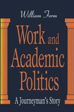 Work and Academic Politics