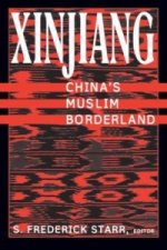 Xinjiang: China's Muslim Borderland