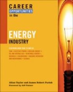 Career Opportunities in the Energy Industry