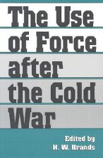 Use of Force after the Cold War