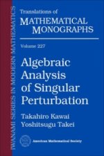 Algebraic Analysis of Singular Perturbation