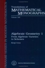 Algebraic Geometry 1, Volume 1