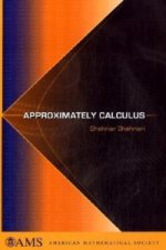 Approximately Calculus