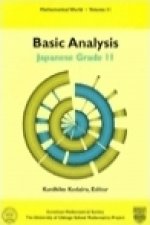Basic Analysis