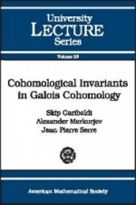 Cohomological Invariants in Galois Cohomology