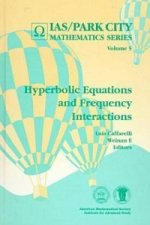 Hyperbolic Equations and Frequency Interactions