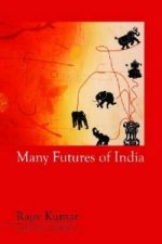 Many Futures of India
