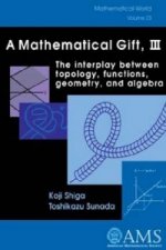 Mathematical Gift, Volume 3