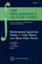 Mathematical Quantum Theory I