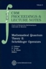 Mathematical Quantum Theory II