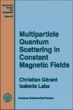 Multiparticle Quantum Scattering in Constant Magnetic Fields