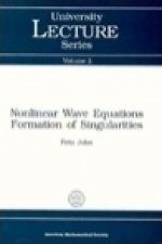 Nonlinear Wave Equations, Formation of Singularities