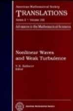 Nonlinear Waves and Weak Turbulence