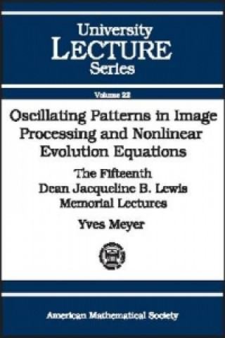 Oscillating Patterns in Image Processing and Nonlinear Evolution Equations
