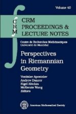 Perspectives in Riemannian Geometry