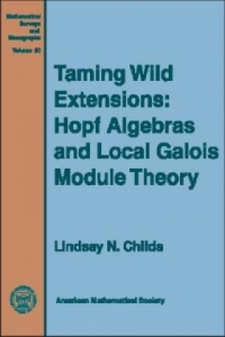 Taming Wild Extensions