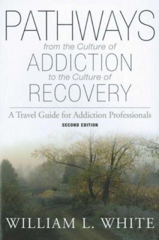 Pathways From The Culture Of Addiction To The Culture Of Rec