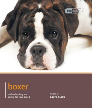 Boxer - Dog Expert