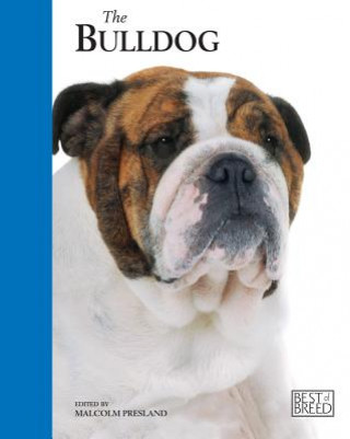 Bulldog