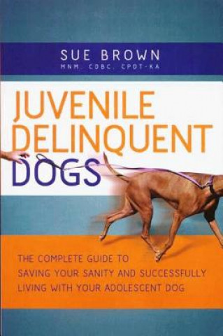 JUVENILE DELIQUENT DOGS