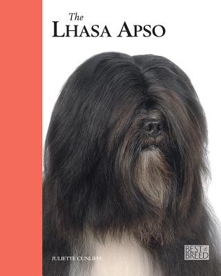 Lhasa Apso