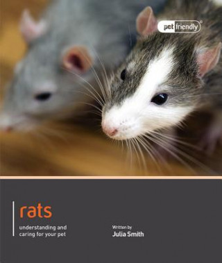Rat - Pet Friendly