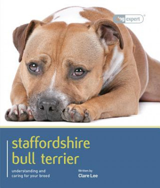 Staffordshire Bull Terrier - Dog Expert