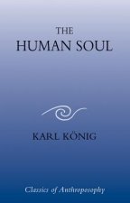 Human Soul