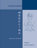 Learning about the World through Modeling