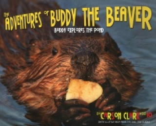 Adventures of Buddy the Beaver: Buddy Explores the Pond
