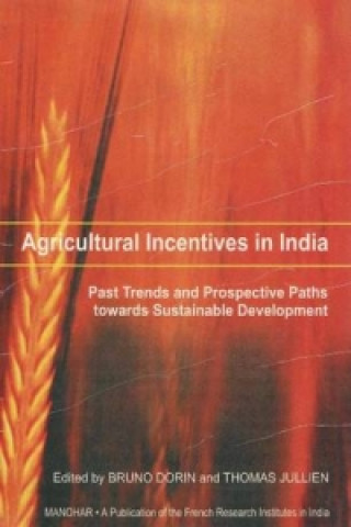 Agricultural Incentives in India