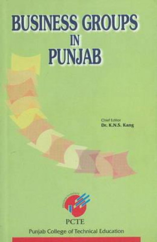 Business Groups in Punjab