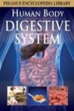 Digestive System