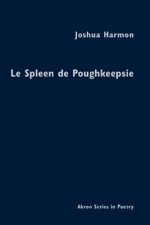 Spleen de Poughkeepsie