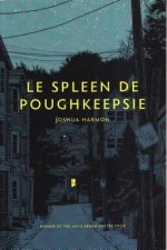 Spleen De Poughkeepsie