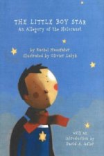 Little Boy Star
