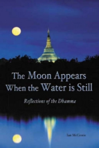 Moon Appears When the Water Is Still