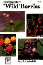 Northwestern Wild Berries