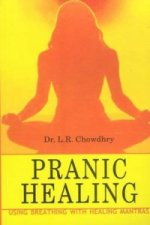 Pranic Healing