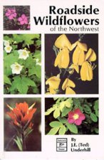 Roadside Wildflowers of the Northwest