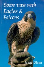 Some Time with Eagles & Falcons