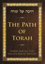 Path of Torah