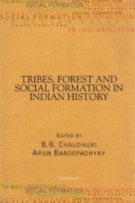 Tribes, Forest and Social Formation in Indian History