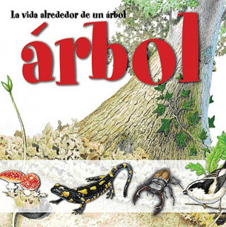 vida alrededor de un arbol