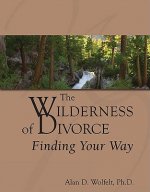 Wilderness of Divorce